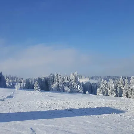 Magdalena Homestay Bukowina Tatrzanska