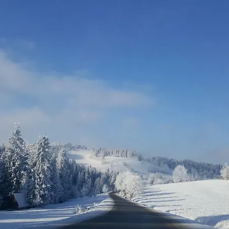 Homestay Magdalena Bukowina Tatrzanska